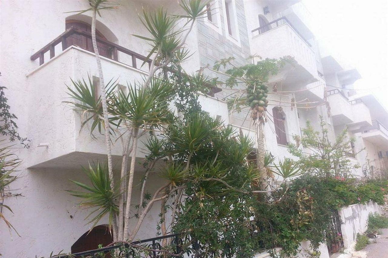 Irene Apartments Malia Buitenkant foto